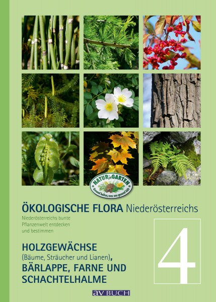 Ökologische Flora Niederösterreichs, Band 4