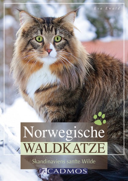 Norwegische Waldkatze