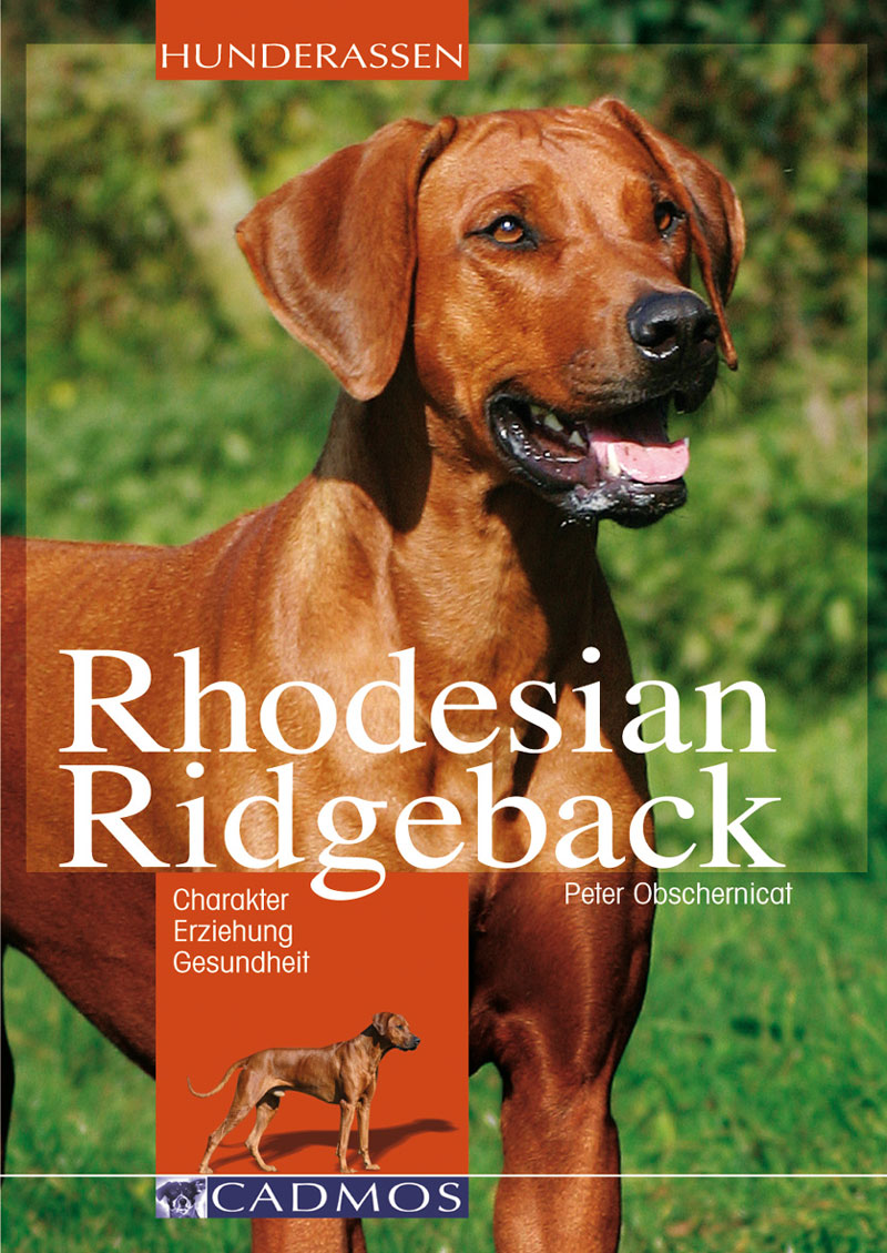 Rhodesian Ridgeback - 