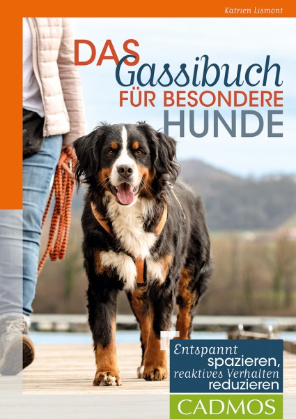 Das Gassibuch für besondere Hunde