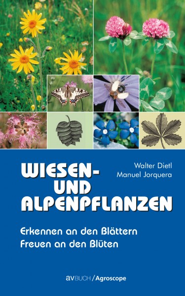 Wiesen- und Alpenpflanzen